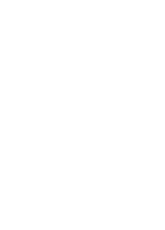 Happy Skillet